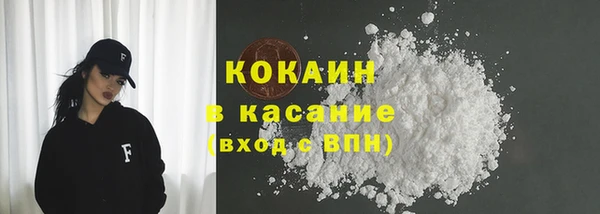 шишки Алексин
